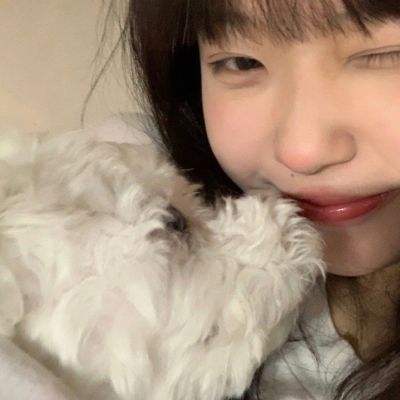 小蝌蚪寻亲记宝宝巴士游戏下载